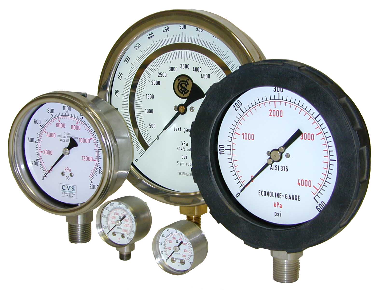 CVS Gauges CVS Controls